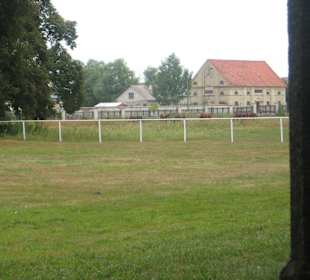 Park przy Pałacu w Nieborowie