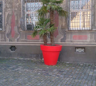 Muzeum miejskie