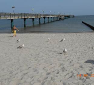 Strand mit Seebrücke