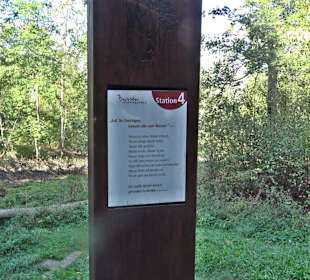 Bussen Schöpfungsweg Offingen