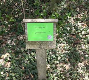Arboretum