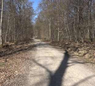 Geschichtlicher Lehrpfad Einsiedel