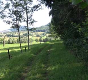 Premiumspazierweg Früchtetrauf-Leisawegle