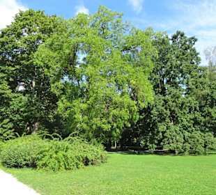 Eindrücke aus dem Hofgarten Bayreuth