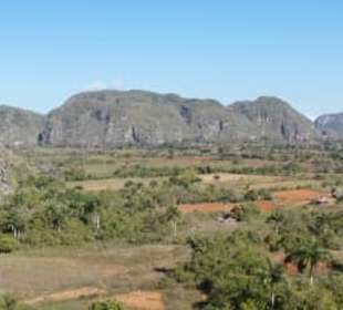 Vinales