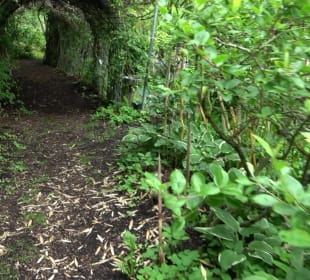 Mezger's Bürgle Park Salzstetten