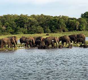 Kaudulla National Park