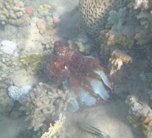 Alle Bilder an einem Tag!