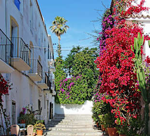 Altstadt-Impressionen