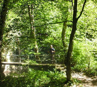 Kleine Brücken über die Elz