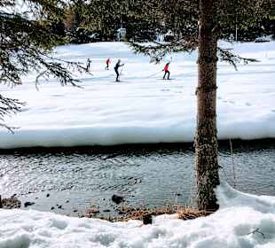 Wandern Davos