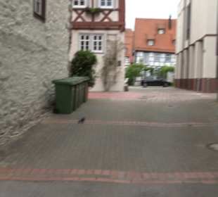Steinhaus