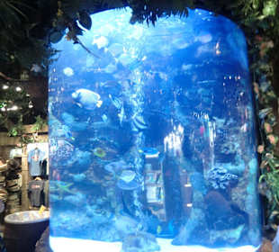 Auch an Kinder ist gedacht