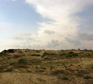 Gündogdu Gesamtanblick