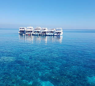 Bei der Dolphinhose Tour