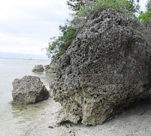 Zwischen Panagsama und White Beach