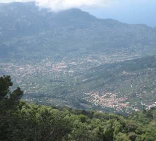 Blick ins Orangental (Soller)