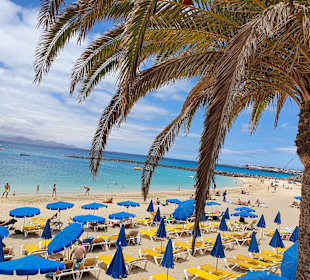 Playa Dorada