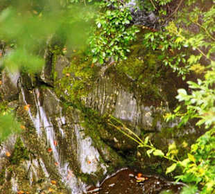 60 Meter tiefer Bachlauf