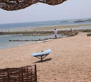 Ursache eines Abwasserproblems?