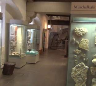 Naturkundemuseum 
