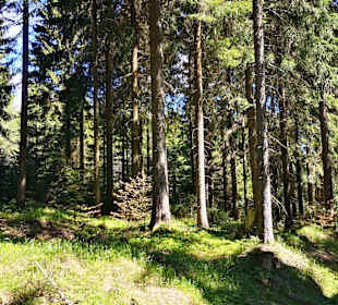 Wandern Klingenthal