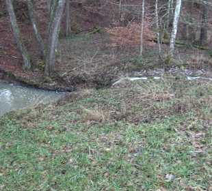 Wanderung rund um den Ochsenweiher
