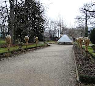 Stadtrundgang Würzburg