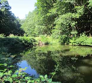  Waldgaststätte Kaltenbrunner Tal