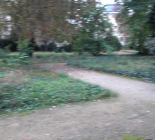 Gedenkstätte Alter Jüdischer Friedhof