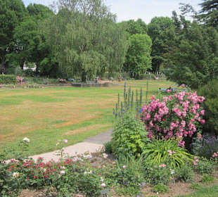 Rosengarten Zweibrücken