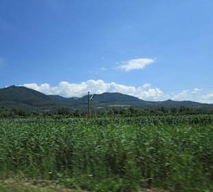 Valea Mureșului / Mureș-Tal 