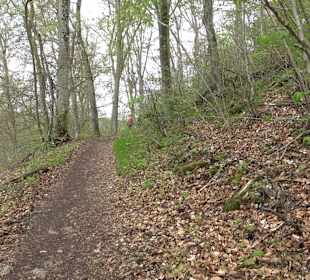 Eiszeitpfad - Burgfelsenpfad