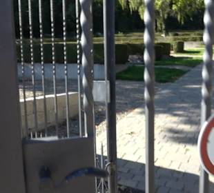 Friedhof Hedingen