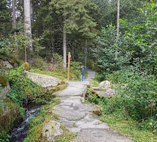 Weg zur Saußbachklamm