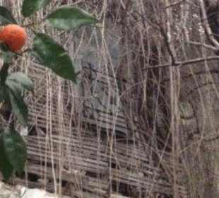 Alte Villa in der Altstadt