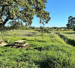 Wandern Evora
