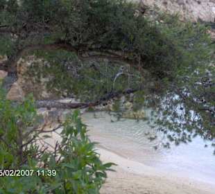 Die Bucht von Cala Fornells