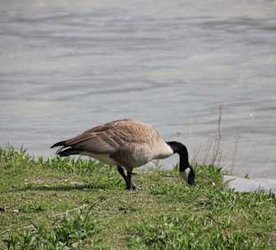 ...und was Leckeres zum Futtern!