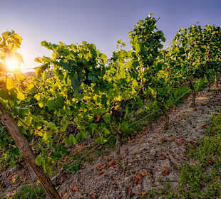 Wandern Oberheimbach