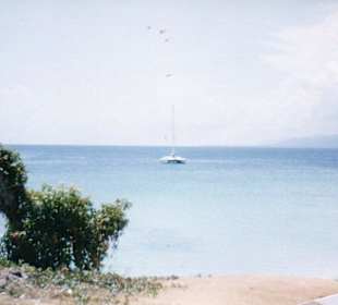 Ausflug-Cayo-Leventado