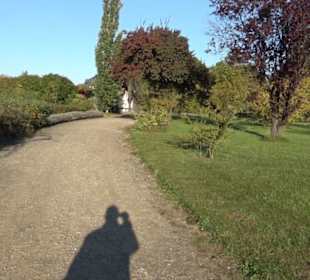 Botanischer Garten