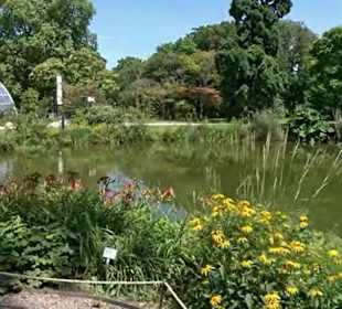 Flora und Botanischer Garten