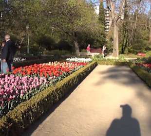 Real Jardín Botánico de Madrid