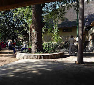 Krüger Nationalpark