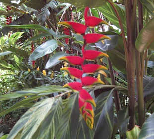 Exotische Fauna und Flora zum anfassen