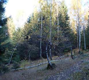 Riesengebirge/Karkonosze