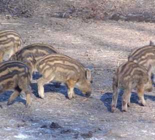 ImpressionOstern2013