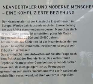 Vergleich Neandertaler vs. Mod. Mensch