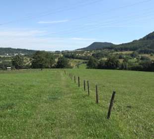 Premiumspazierweg Früchtetrauf-Leisawegle